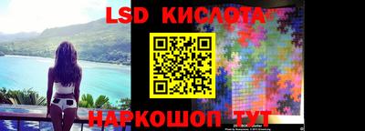 шишки Ставрополь