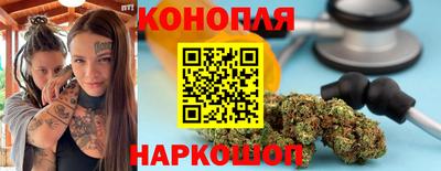шишки Ставрополь